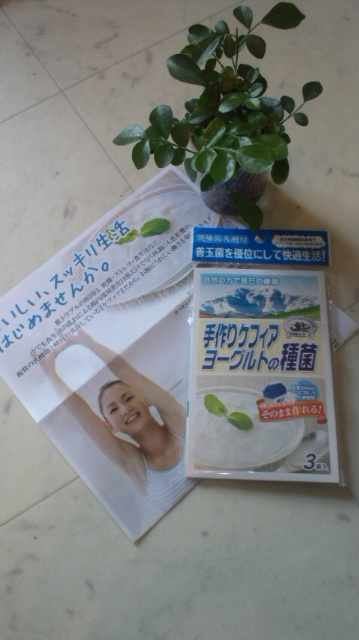 ケフィア1
