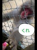 LINEcamera_share_2012-08-24-12-33-24.jpg