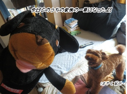 006_20120614232629.jpg