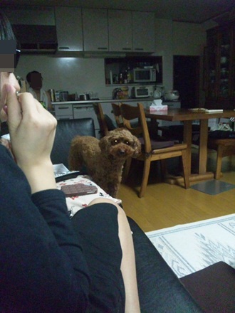 006_20120911231602.jpg