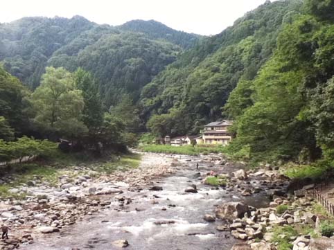 1208175.jpg