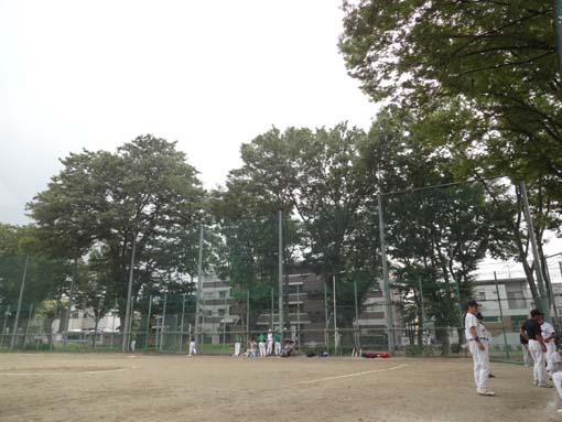 1209021.jpg