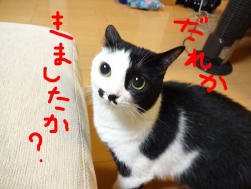 12090716_20120907062622.jpg