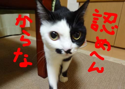 1209097.jpg