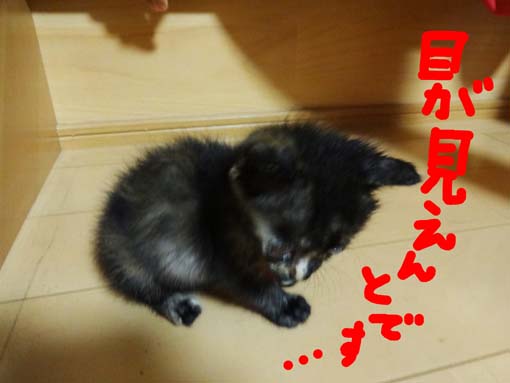 1209166.jpg