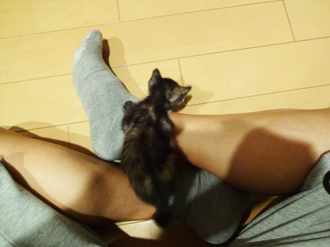 1209172.jpg