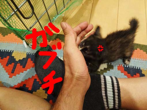 12092110_20120921015858.jpg