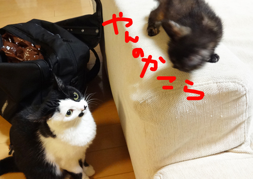 1209263.jpg
