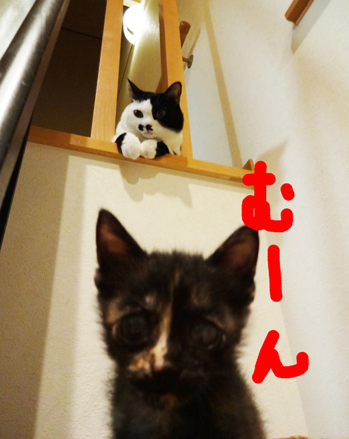 1209271.jpg