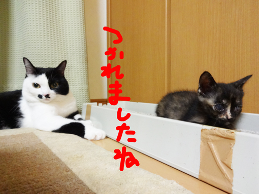 1209281.jpg