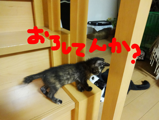 1210022.jpg