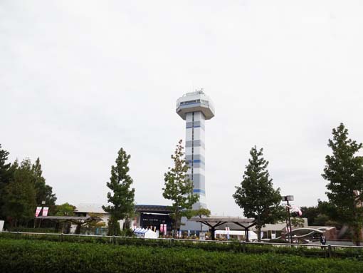 1210062.jpg