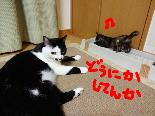 1210114.jpg