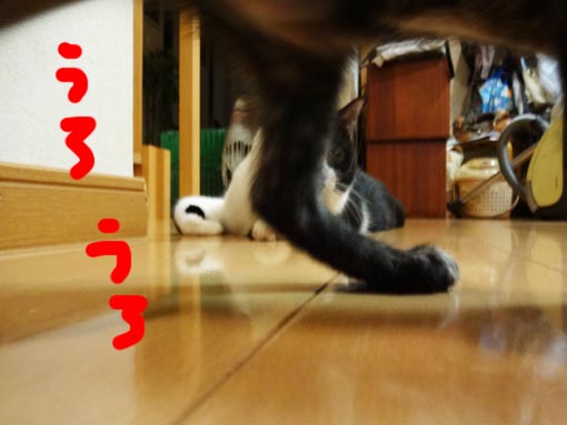 12101515.jpg