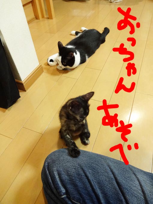 12101519.jpg