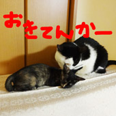 12101610.jpg