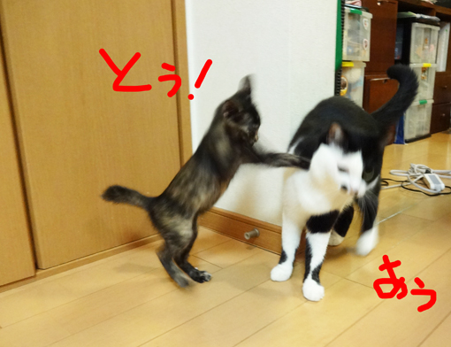 1210192.jpg
