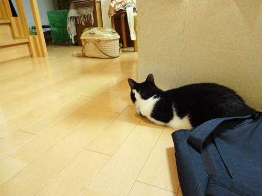 1210217.jpg