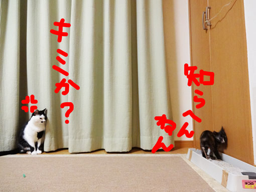 1210241.jpg