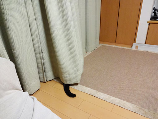 1210242.jpg