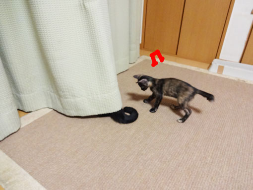 1210246.jpg
