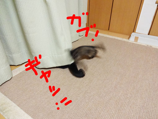1210247.jpg
