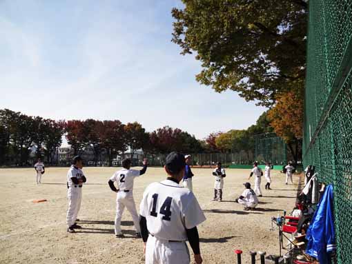 1211041.jpg