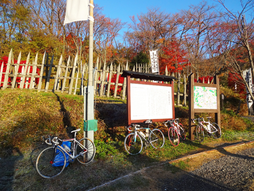 1211277.jpg