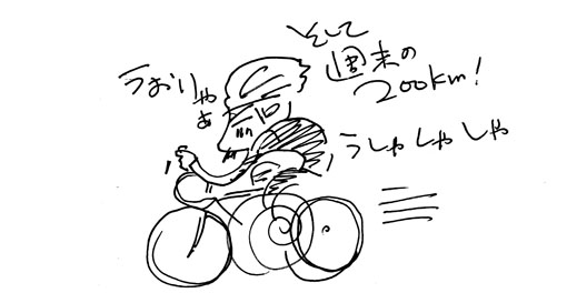 1212061.jpg