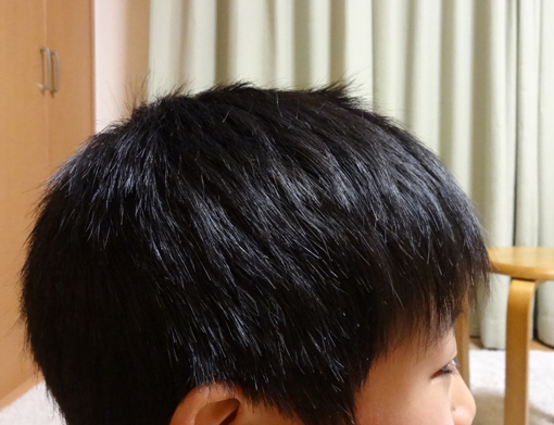1212131.jpg