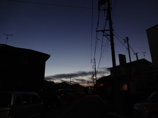 1301028.jpg
