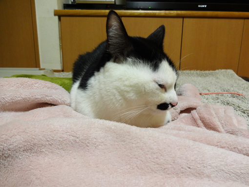 1301031.jpg
