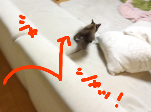1301034.jpg