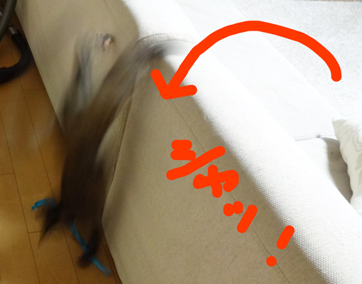 1301035.jpg