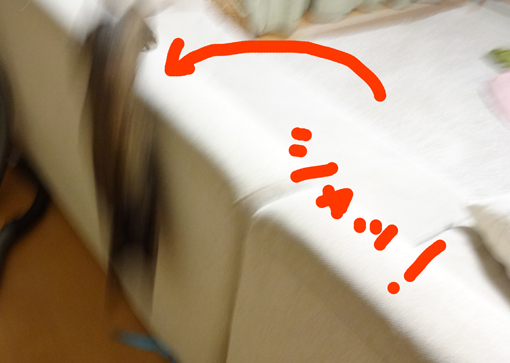 1301036.jpg