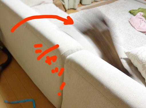 1301037.jpg