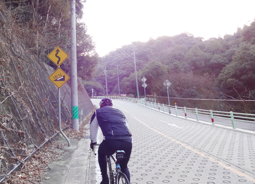 1301076.jpg