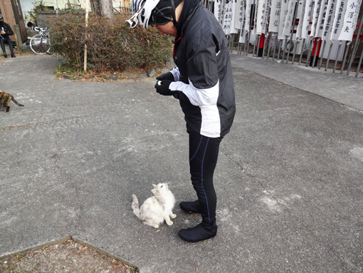 13011115.jpg