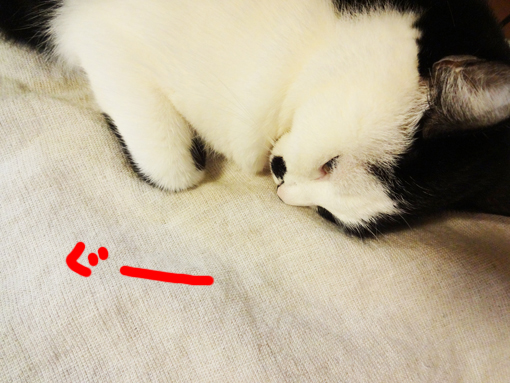 1301132.jpg
