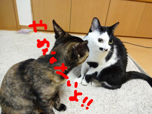 1301135.jpg