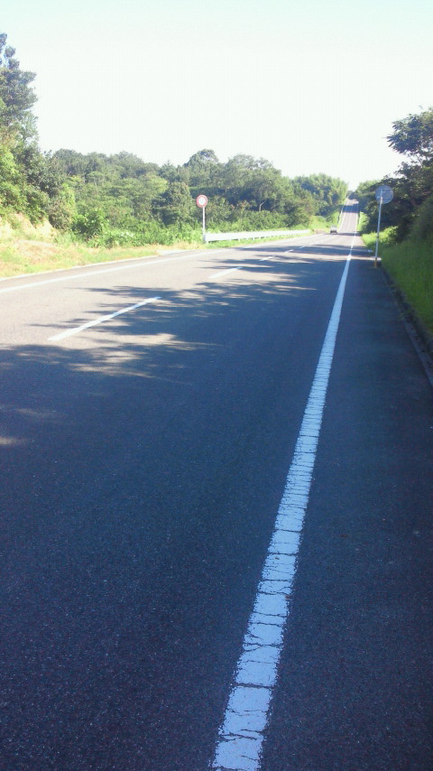 201208040812000.jpg