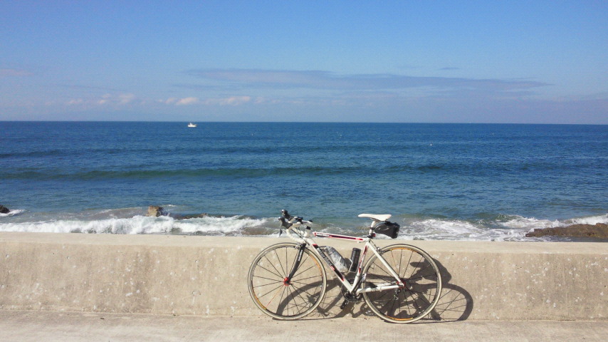 201208040832001.jpg