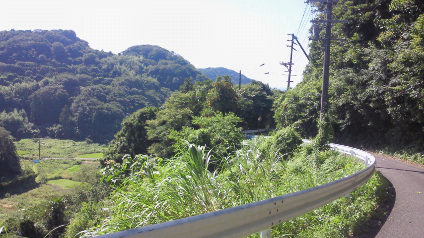 201208040903000.jpg