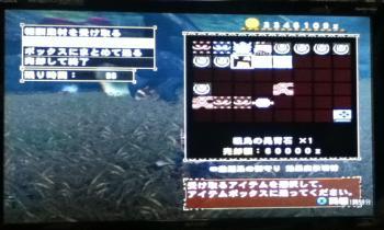画像+006_convert_20130318155823