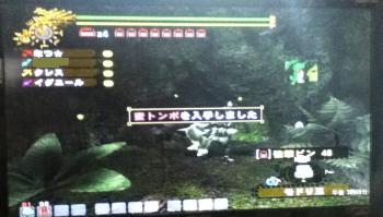 画像+007_convert_20130318155856
