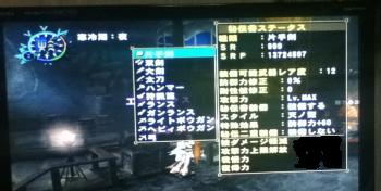 画像+010_convert_20130318160445