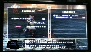 画像+007_convert_20130416111803