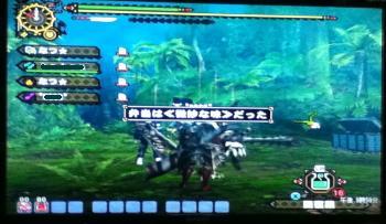 画像+010_convert_20130511093049