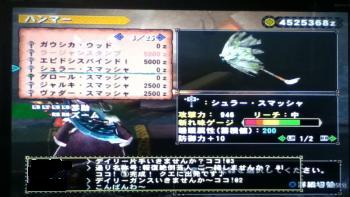 画像+009_convert_20130520113744