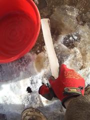 moblog_12823159.jpg